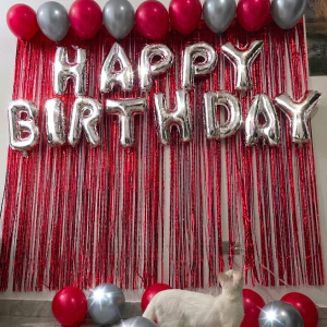 Birthday Decoration Combo Set (BD-063)